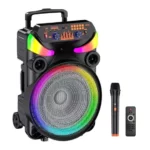 Enceinte trolley Bluetooth KAKUSIGA KK-15101 avec haut-parleur 15 pouces et roulettes de transport.