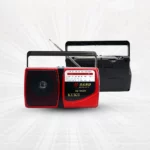 Radio Bluetooth RD-302BT avec port USB et carte SD.