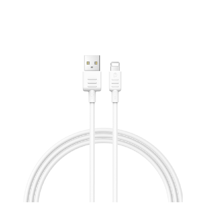 Câble RECCI RS10L USB vers Lightning 2.4A Charge Rapide 1M