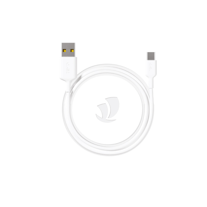 Câble USB vers USB-C – Charge Ultra-Rapide 2.4A & Synchro 480 Mbps – 100cm - Revo RC02C