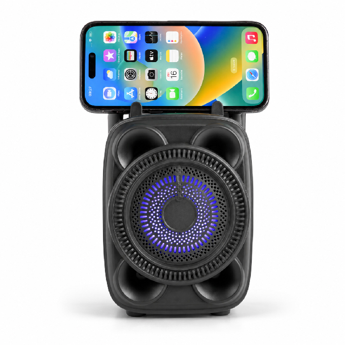 Enceinte Karaoké Bluetooth Portable SING-E ZQS1360 avec Éclairage RGB