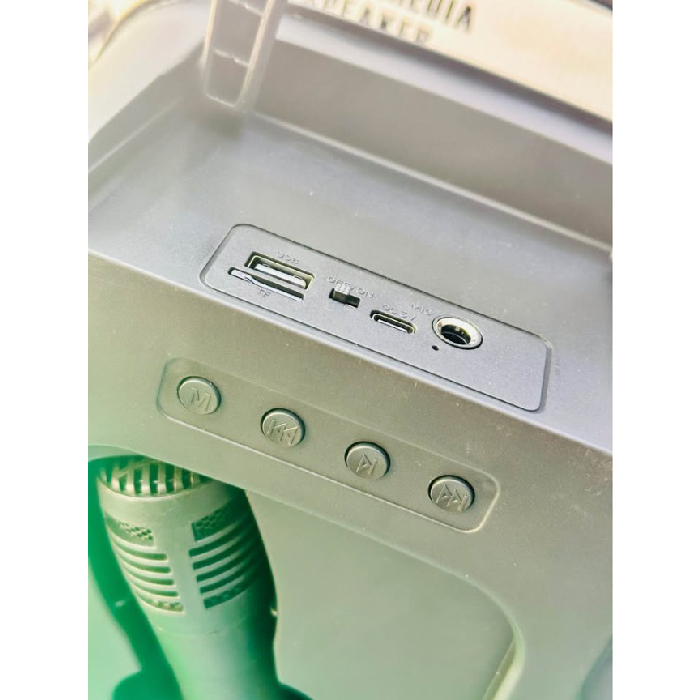 Enceinte Bluetooth Portable SING-E ZQS6162 avec LED RGB et Fonction Karaoké – Image 4