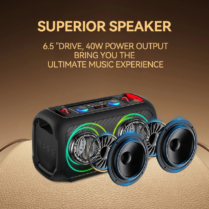 Enceinte Bluetooth Portable ZQS-L17 40W avec 2 Micros Sans Fil, LED RGB, FM, USB, TF et Télécommande – Image 4