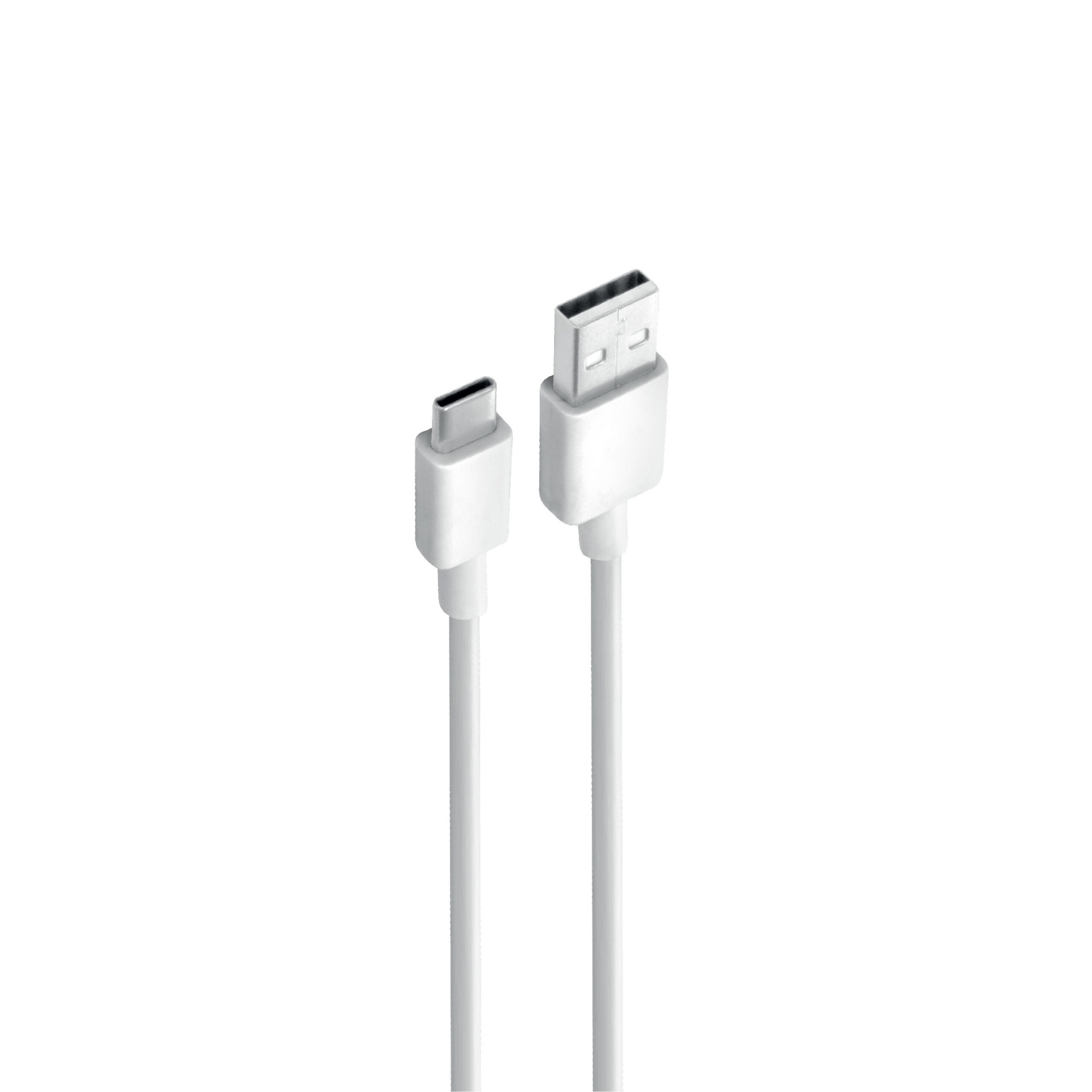 Câble Data BLACKWAVE BC01C USB vers USB Type-C 2A – 100 cm