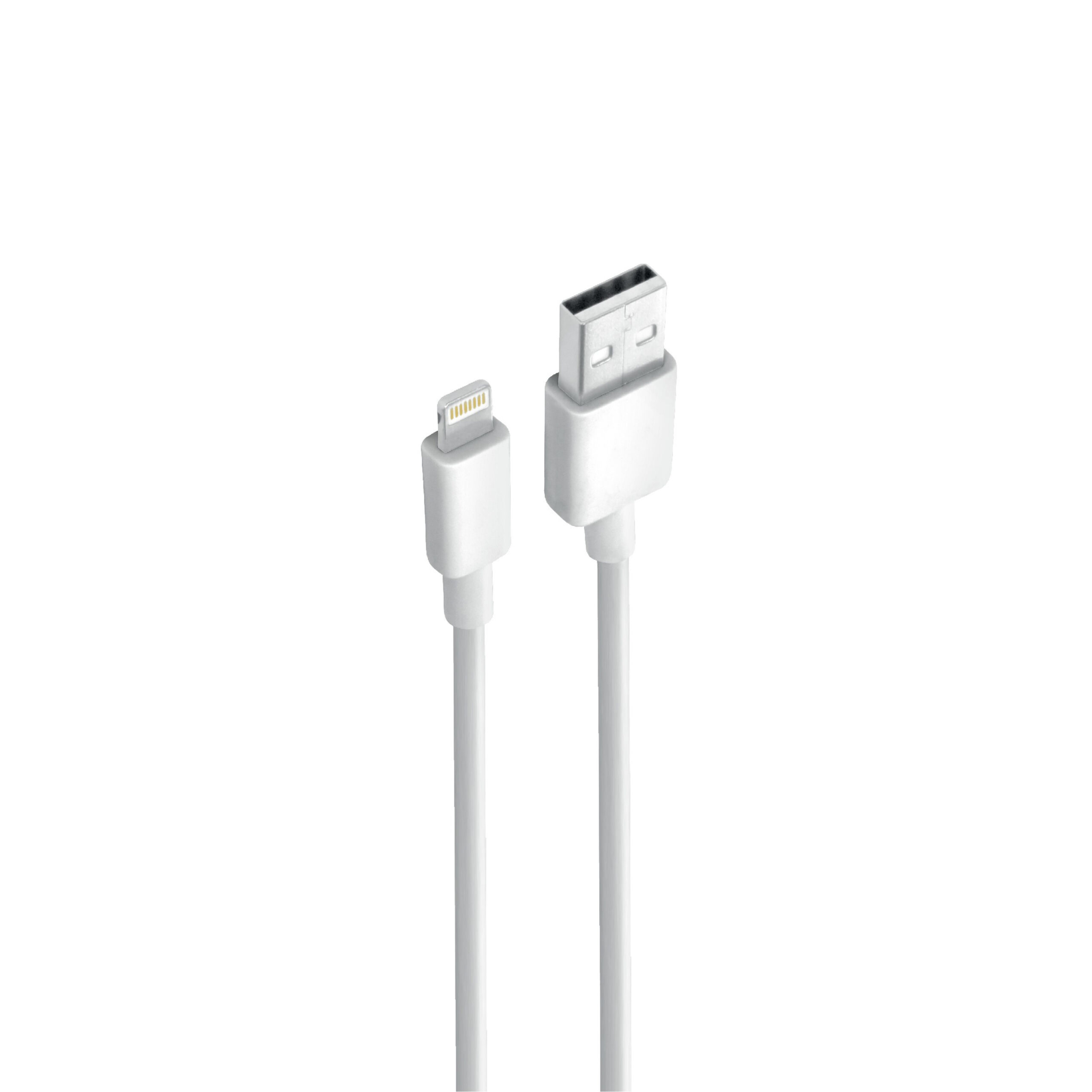 Câble Data BLACKWAVE BC01L USB vers Lightning 2A – 100 cm