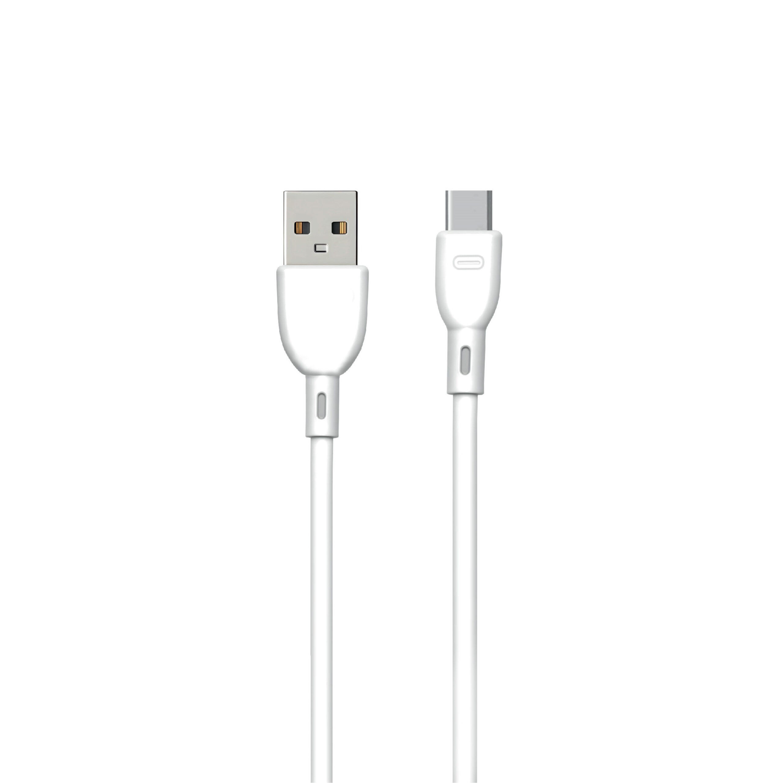 Câble Data BLACKWAVE BC02C USB vers USB Type-C 2.4A – 100 cm