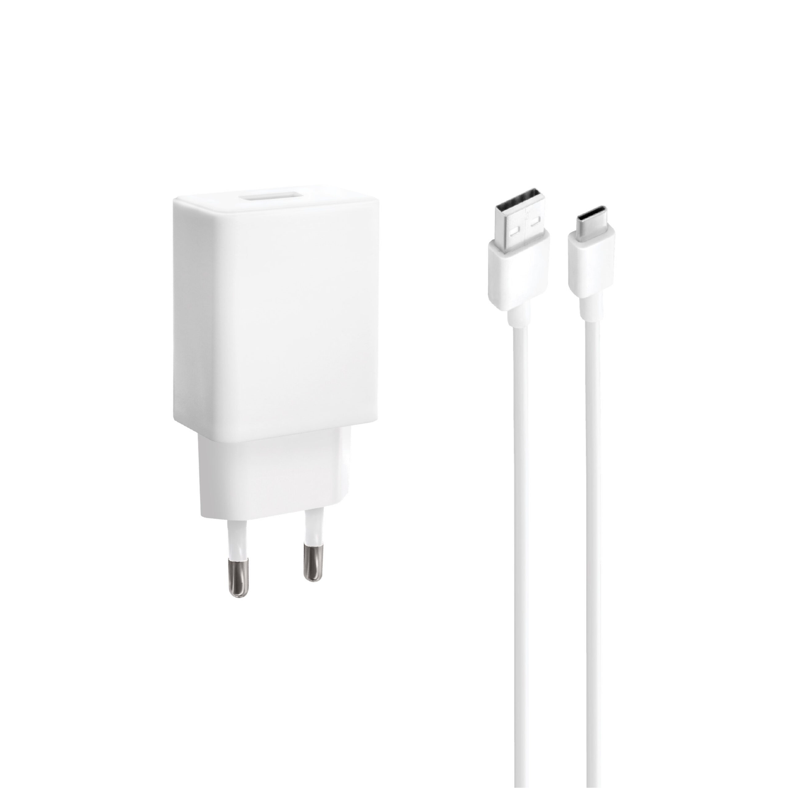 Chargeur Intelligent BLACKWAVE BL01C avec Câble USB Type-C 100 cm