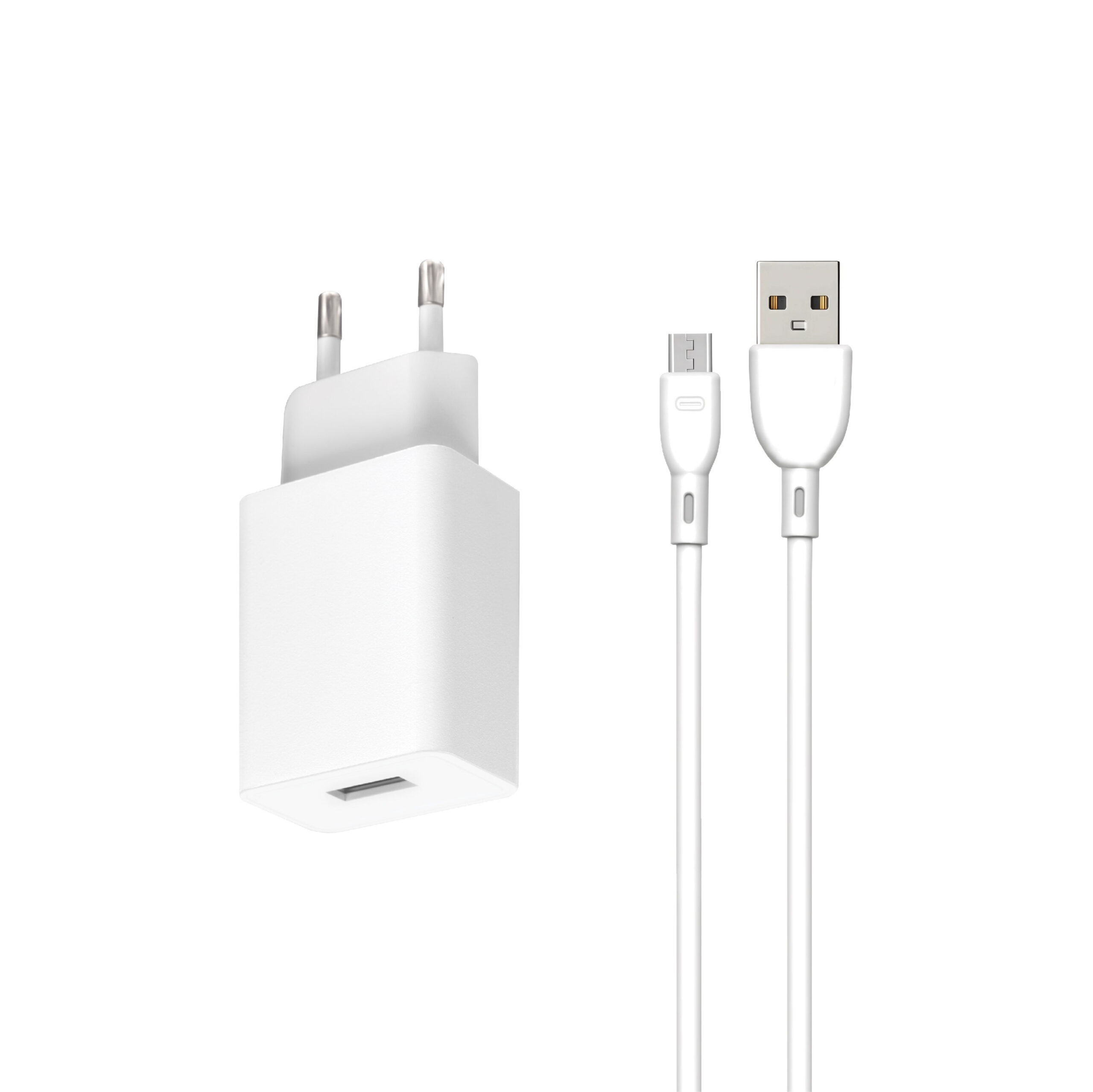 Chargeur Intelligent BLACKWAVE BL02M avec Câble USB-A vers Micro USB 100 cm