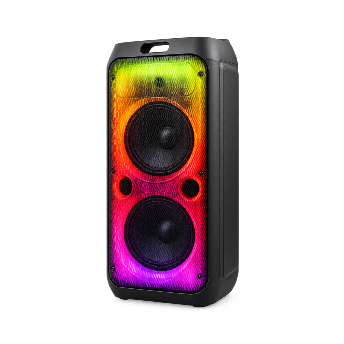 Enceinte Bluetooth SING-E ZQS10208 50W × 2 avec 2 Microphones Sans Fil